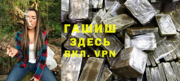 сатива Каменка