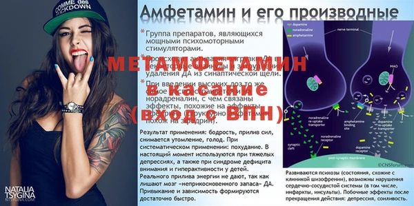 PSILOCYBIN Карталы