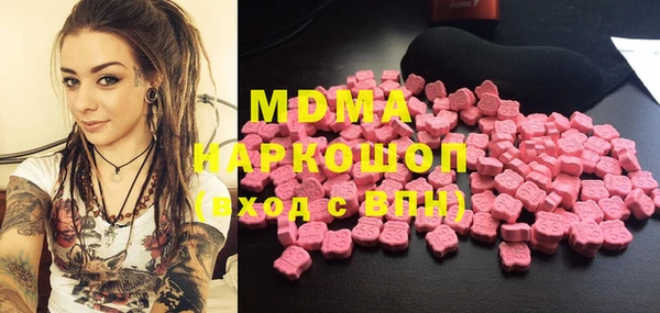 сатива Каменка
