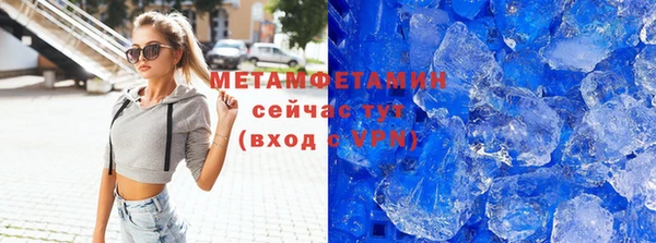 сатива Каменка